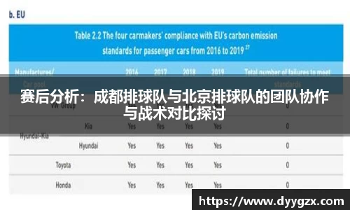 赛后分析：成都排球队与北京排球队的团队协作与战术对比探讨